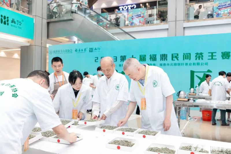 关于2023第十届福鼎民间茶王赛举办的相关信息(5)