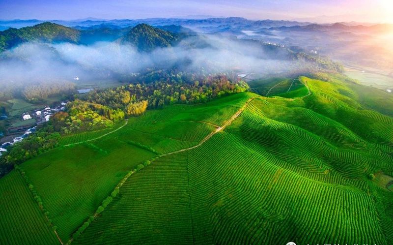 有关于“中国最美的乡村”江西婺源：每一步都在“风水画”上的内容(9)