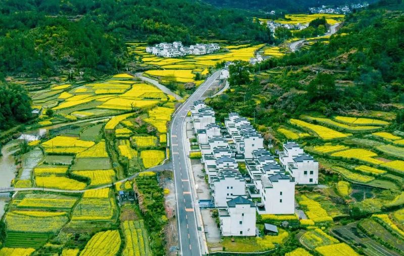 有关于“中国最美的乡村”江西婺源：每一步都在“风水画”上的内容(3)