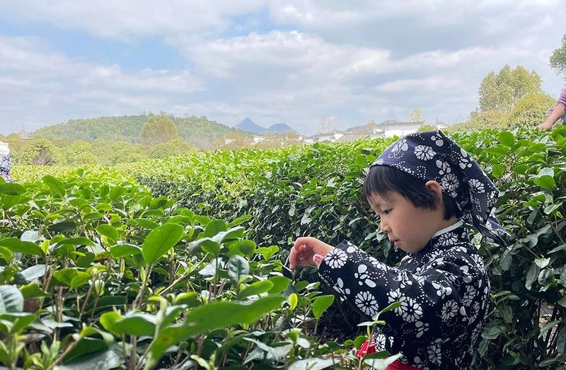 有关于“中国最美的乡村”江西婺源：每一步都在“风水画”上的内容(6)