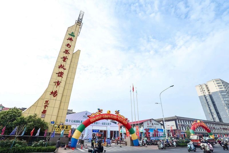 有关于吃了淄博烧烤、喝了青岛啤酒，就差来泉城品茶啦！的信息(6)