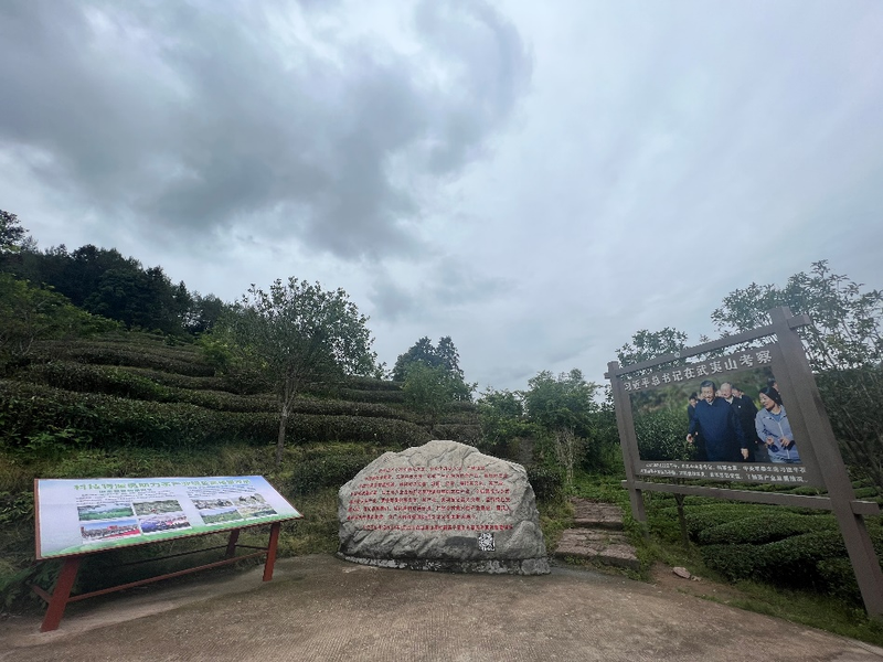 关于尹祎院长赴政和县、武夷山市考察调研茶产业的资讯(2)