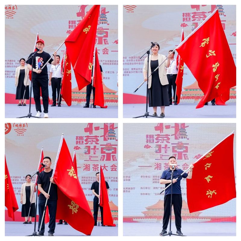 有关于“挑担茶叶上北京—湘茶大会”在长沙橘子洲举行的相关信息(13)