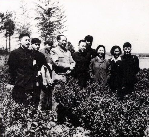 有关于“挑担茶叶上北京—湘茶大会”在长沙橘子洲举行的相关信息