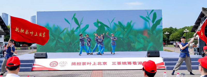 有关于“挑担茶叶上北京—湘茶大会”在长沙橘子洲举行的相关信息(1)