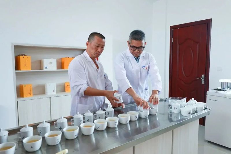 关于松溪九龙大白茶第七届茶王赛举办的内容(2)