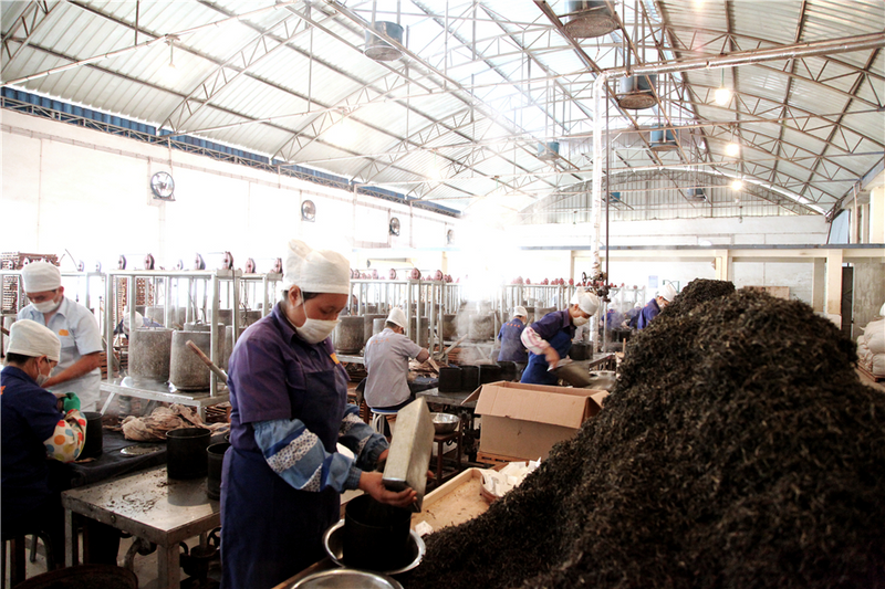 关于双江自治县“三茶统筹”研究院正式揭牌的相关内容(1)