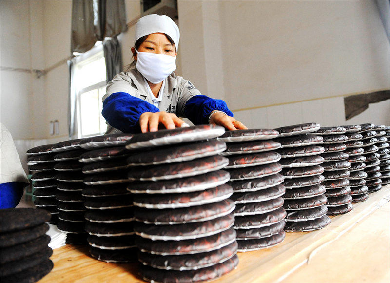 关于双江自治县“三茶统筹”研究院正式揭牌的相关内容(7)