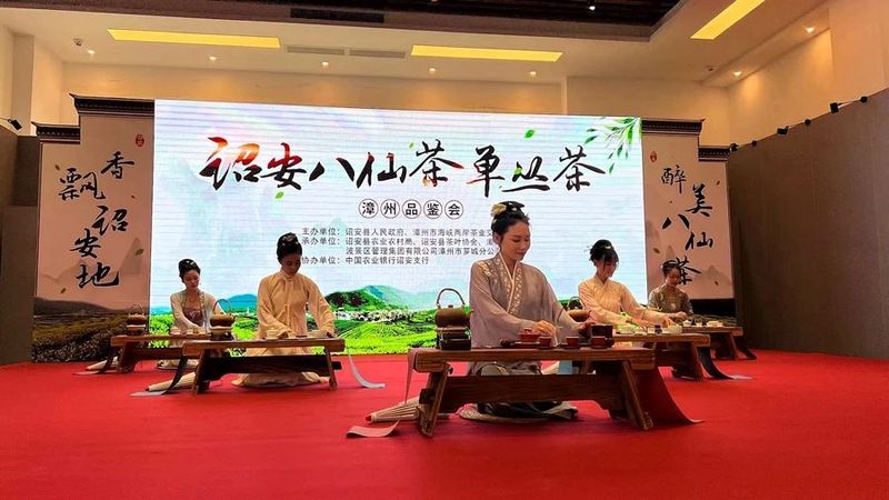 有关于诏安八仙茶、单丛茶漳州品鉴会举行的消息(1)