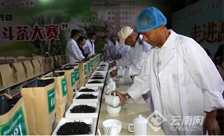 关于5·21国际茶日 西双版纳保护古茶树在行动的新闻(1)