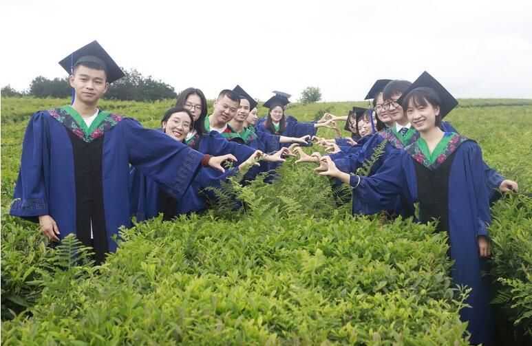 关于贵州大学：茶园里的毕业典礼的资讯(7)