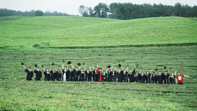 关于贵州大学：茶园里的毕业典礼的资讯(6)