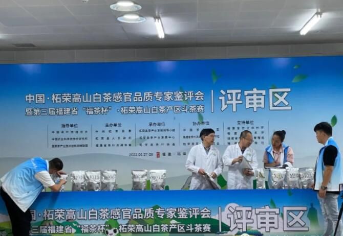 关于茶叶大赛·柘荣高山白茶产区斗茶赛开评的资讯(5)
