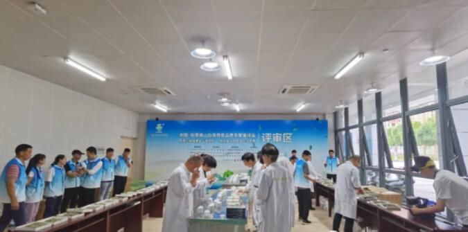 关于茶叶大赛·柘荣高山白茶产区斗茶赛开评的资讯(1)