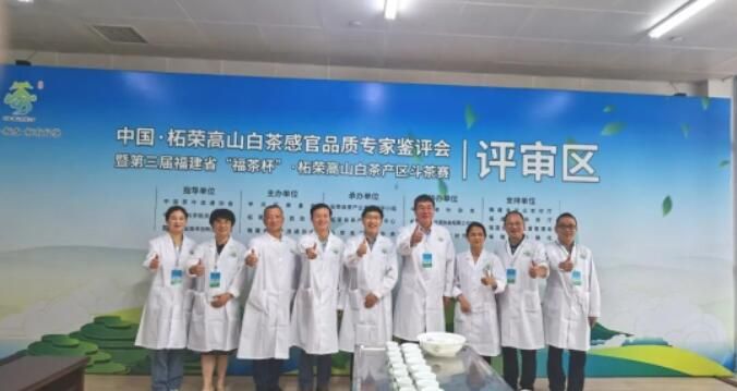 关于茶叶大赛·柘荣高山白茶产区斗茶赛开评的资讯