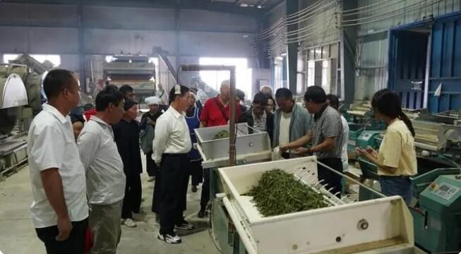 关于晴隆县开展2023年乡村振兴青年带头人茶叶科技培训的信息(2)