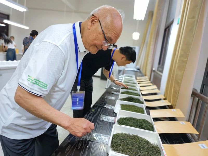 关于制茶、斗茶！恩施硒茶技能大赛今日开启！的相关信息(14)