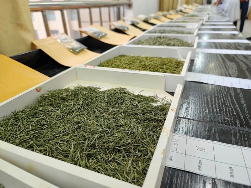 关于制茶、斗茶！恩施硒茶技能大赛今日开启！的相关信息(16)