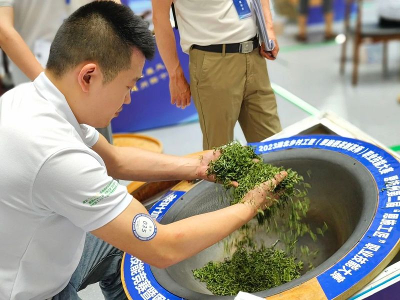 关于制茶、斗茶！恩施硒茶技能大赛今日开启！的相关信息(13)