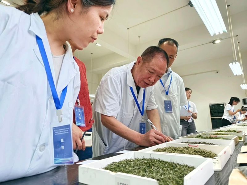 关于制茶、斗茶！恩施硒茶技能大赛今日开启！的相关信息(15)