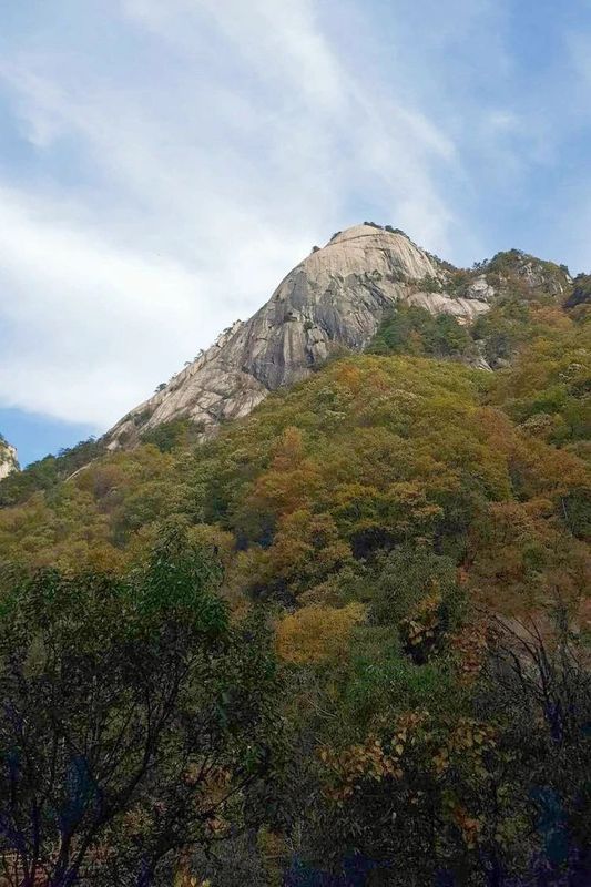 关于湖北被低估的名茶大县，茶叶曾在唐朝作贡品运往长安的内容(6)