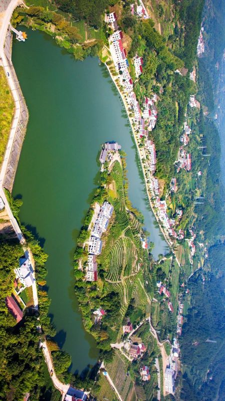 关于湖北被低估的名茶大县，茶叶曾在唐朝作贡品运往长安的内容(8)