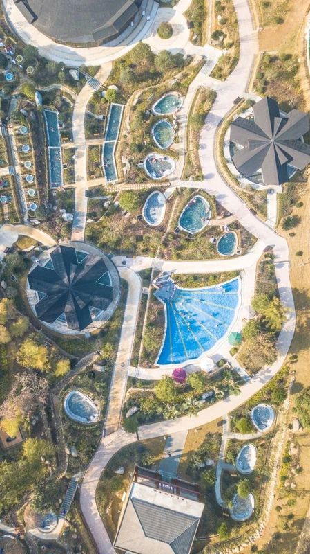 关于湖北被低估的名茶大县，茶叶曾在唐朝作贡品运往长安的内容(12)