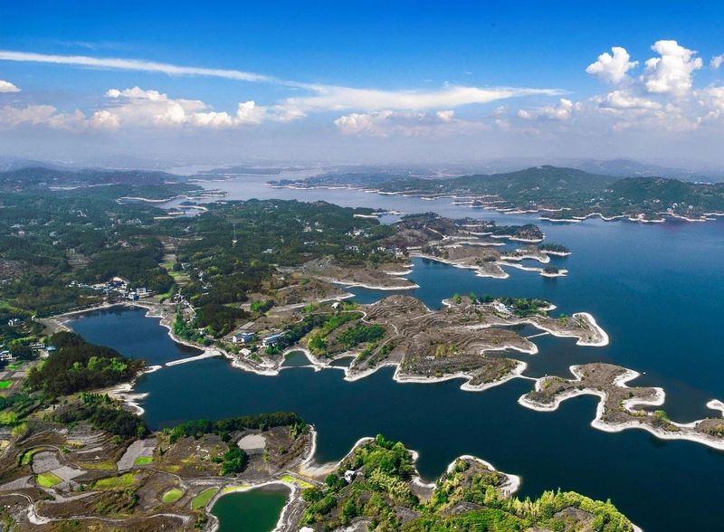 关于湖北被低估的名茶大县，茶叶曾在唐朝作贡品运往长安的内容(11)