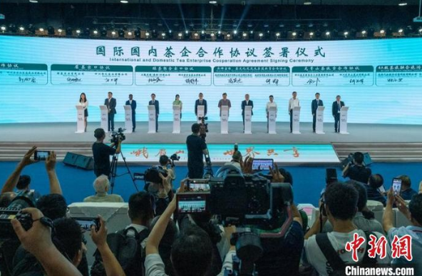 关于海内外茶界大咖云集峨眉山下论道绿茶未来的相关信息(1)