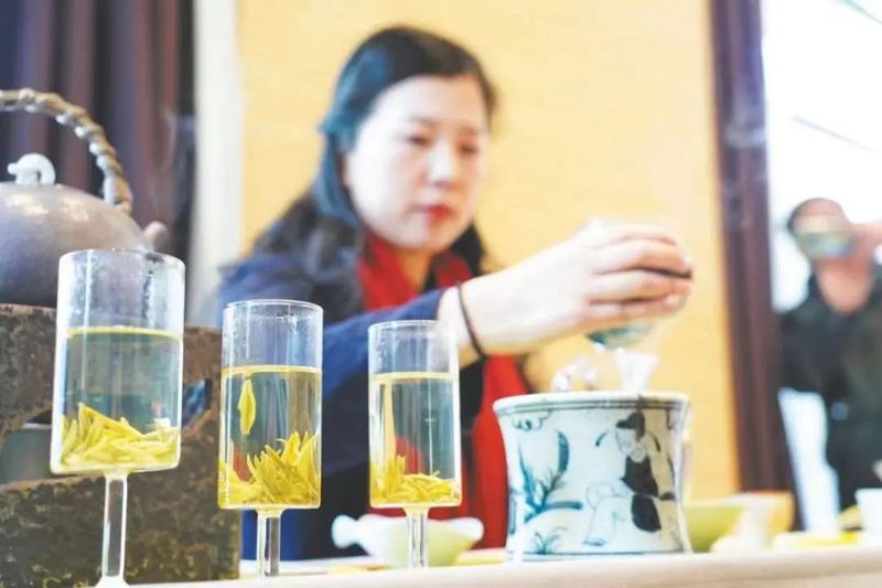 有关于8万亩茶园里的新科技！的内容(3)