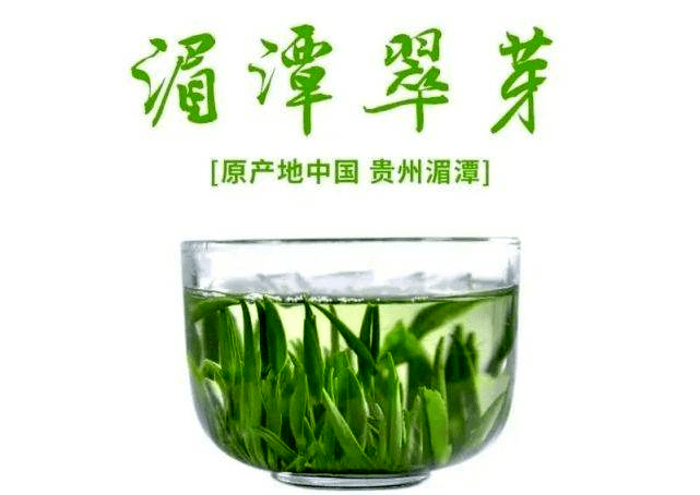 关于五十三度茶为你揭密（上）：来源于浙大和西湖龙井的湄潭翠芽 的新闻(5)