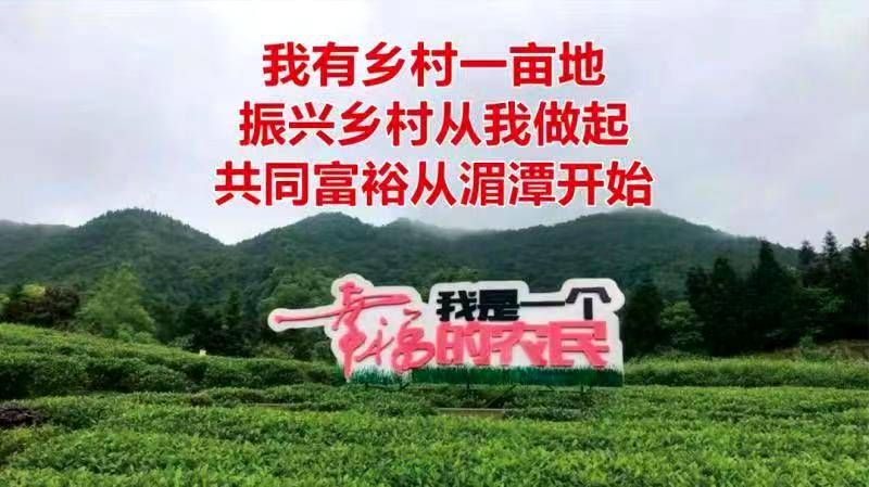 关于五十三度茶为你揭密（上）：来源于浙大和西湖龙井的湄潭翠芽 的新闻(6)