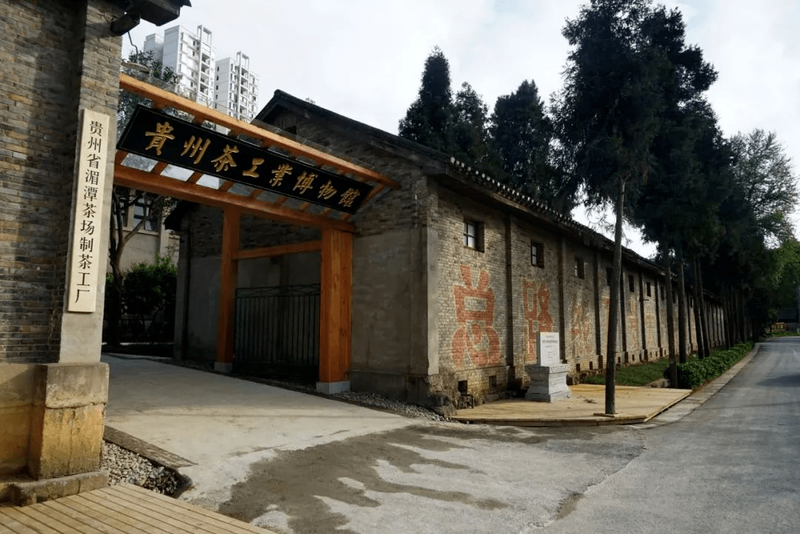 关于五十三度茶为你揭密（上）：来源于浙大和西湖龙井的湄潭翠芽 的新闻(3)