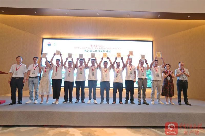 有关于信阳白茶助推茶产业发展的资讯(3)