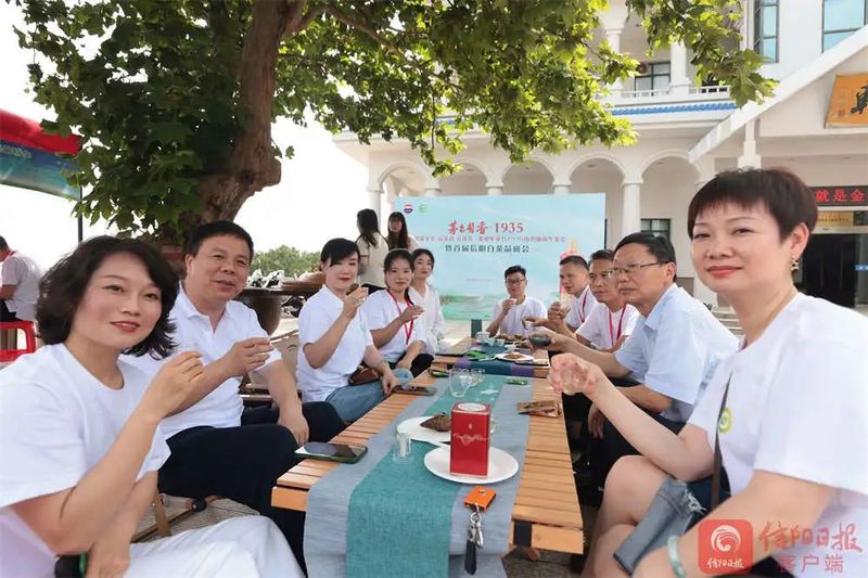 有关于信阳白茶助推茶产业发展的资讯(4)