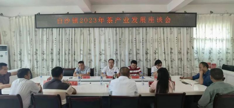 关于白沙镇组织召开茶产业发展现场观摩会的消息(2)