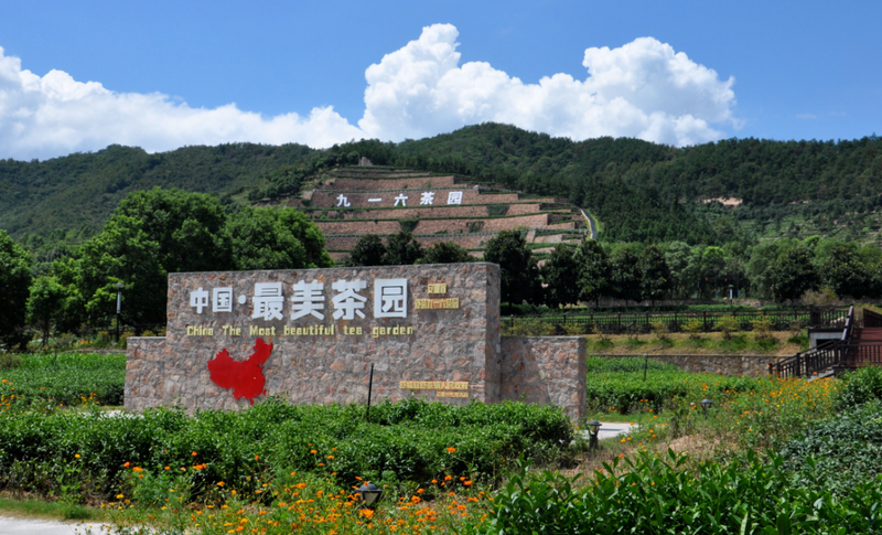 关于步履不停 绘就乡村振兴新画卷！舒城县茶产业发展实施意见（2023-2025）的相关内容(2)