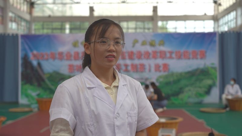 关于乐业：匠心守初心 茶香助振兴的内容(4)