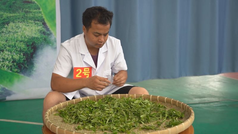 关于乐业：匠心守初心 茶香助振兴的内容(2)