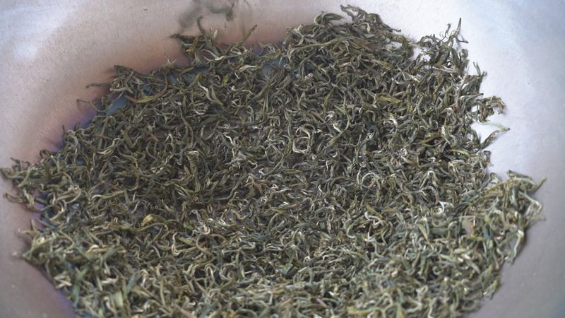 关于乐业：匠心守初心 茶香助振兴的内容(7)