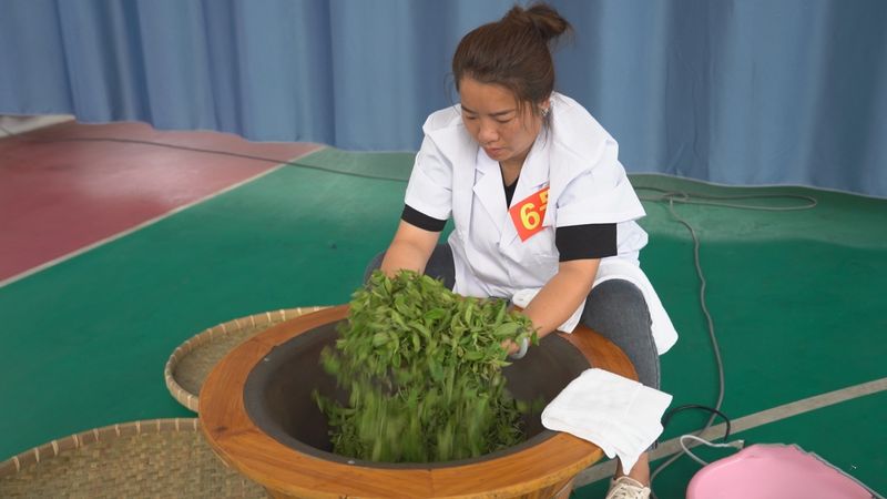 关于乐业：匠心守初心 茶香助振兴的内容(3)