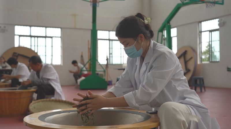 关于乐业：匠心守初心 茶香助振兴的内容(8)