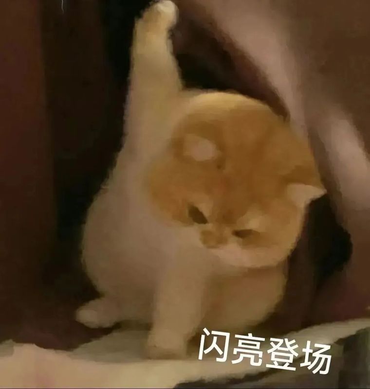 关于想抱院士“大腿”？“捡漏”211、985？那还不选茶学！的消息