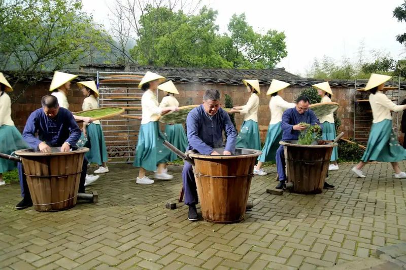 有关于茶叶公用品牌的支点——文化  区域品牌论的信息(3)