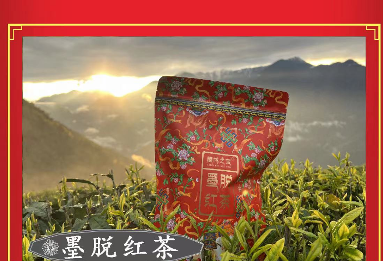 关于墨脱县农业农村局：推动茶旅融合 促进墨脱经济发展的相关内容(3)