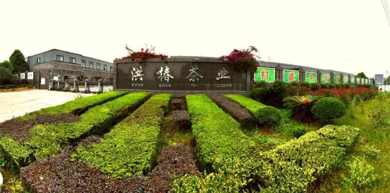 关于让夹江茶叶飘香世界的内容(2)