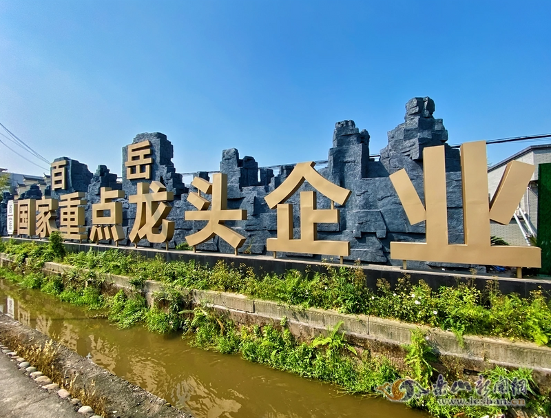 关于让夹江茶叶飘香世界的内容(5)