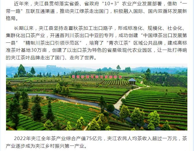 关于让夹江茶叶飘香世界的内容(1)