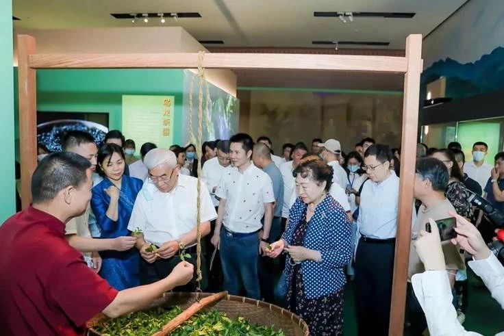 有关于安溪文物闪耀国博 茶乡文化大放异彩“凤鸣于溪——安溪历史文化展”在国博启幕的资讯(11)