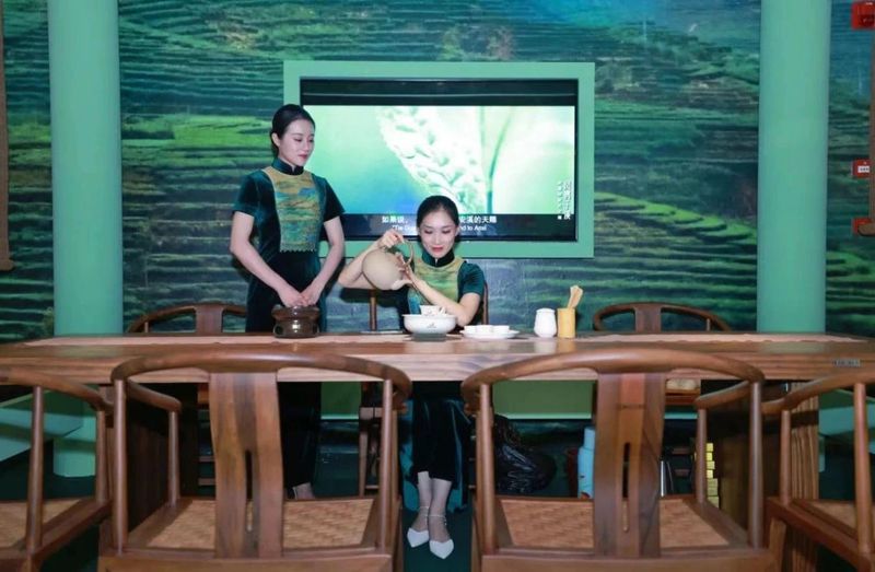 有关于安溪文物闪耀国博 茶乡文化大放异彩“凤鸣于溪——安溪历史文化展”在国博启幕的资讯(13)